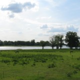 0905F 24 Stendal-Hamburg : elbe